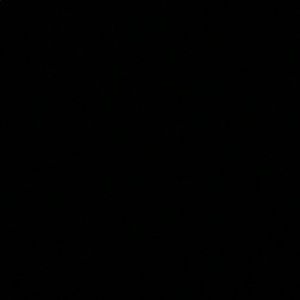 Meet your Posher, Brady